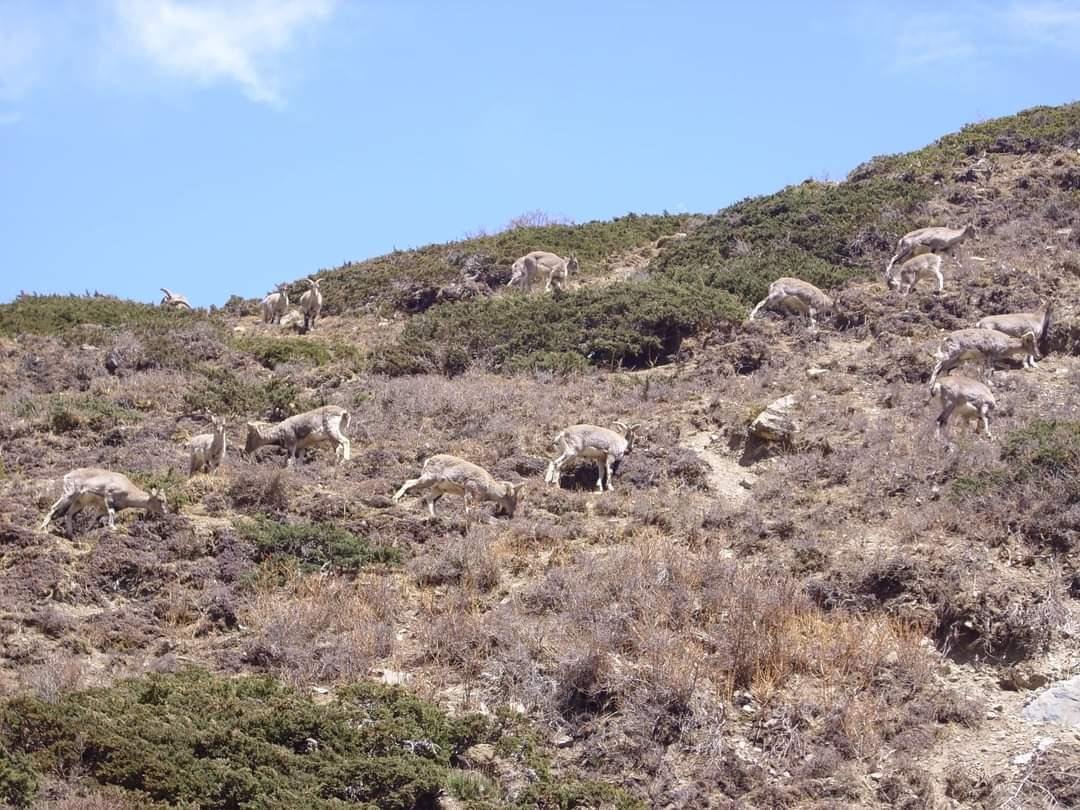 Itinerary Image